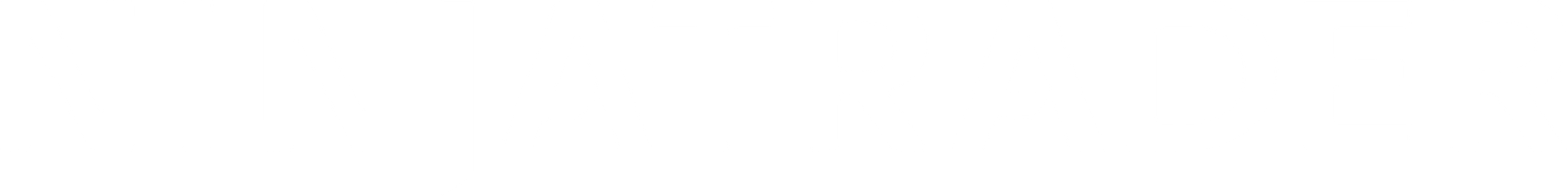 NinjaTrader - Swiset